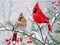 Cardinal Birds Diamond Painting Kit for Adults – DIY Winter Gem Art for Beginners, Home Wall Decor, 16x12 Inch, Perfect Gift for Kids